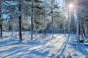 355 Tamarack, Goldendale, WA 98620 - Photo 35