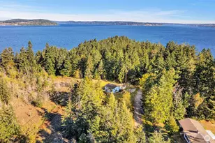 10318 Morris Blvd, Steilacoom, WA 98388 - Photo 33