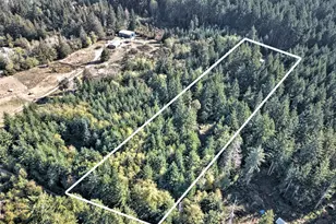 241 E Ritz Dr, Shelton, WA 98584 - Photo 7