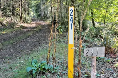 241 E Ritz Drive, Shelton, WA 98584 - Photo 21