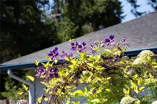 1010 Olympus Ave, Port Angeles, WA 98362 - Photo 35