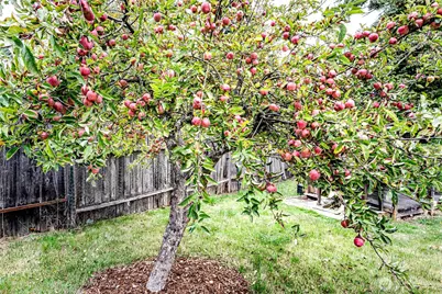 1010 Olympus Avenue, Port Angeles, WA 98362 - Photo 37