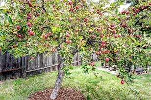 1010 Olympus Ave, Port Angeles, WA 98362 - Photo 37