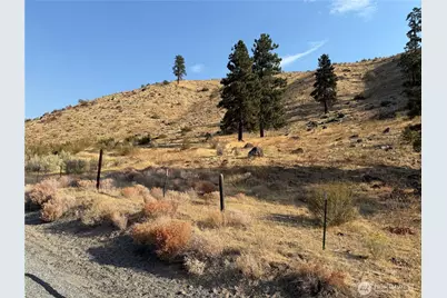 2200 Antoine Creek Road, Chelan, WA 98816 - Photo 3