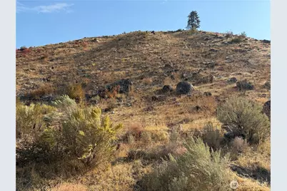 2200 Antoine Creek Road, Chelan, WA 98816 - Photo 9