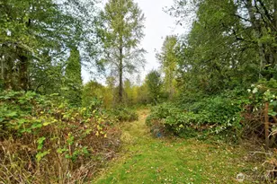 13920 Littlerock Rd SW, Rochester, WA 98579 - Photo 7