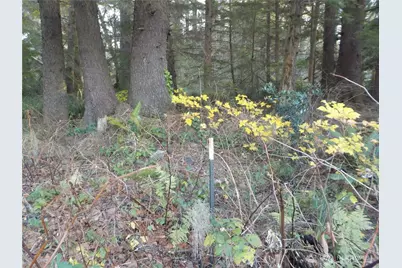 12 Third St W, Chinook, WA 98614 - Photo 9