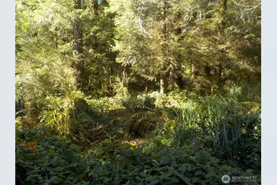 12 Third St W, Chinook, WA 98614 - Photo 17