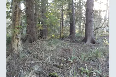 12 Third St W, Chinook, WA 98614 - Photo 11