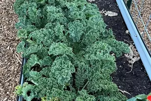 54 Hardrock Rd, Republic, WA 99166 - Photo 21