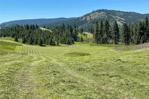 54 Hardrock Rd, Republic, WA 99166 - Photo 27