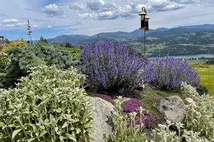 54 Hardrock Rd, Republic, WA 99166 - Photo 31