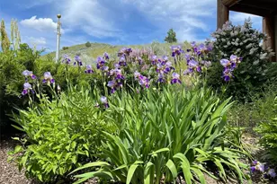 54 Hardrock Rd, Republic, WA 99166 - Photo 33