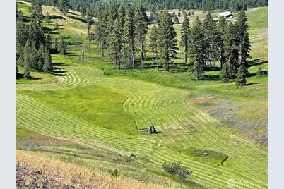 54 Hardrock Road, Republic, WA 99166 - Photo 29