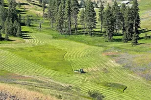 54 Hardrock Rd, Republic, WA 99166 - Photo 29