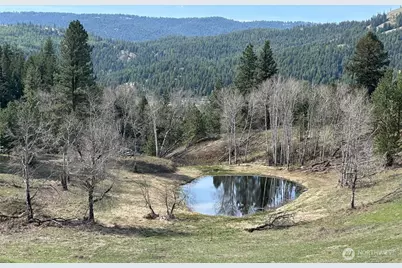 54 Hardrock Road, Republic, WA 99166 - Photo 15