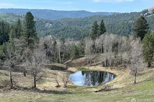 54 Hardrock Rd, Republic, WA 99166 - Photo 15