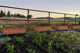 54 Hardrock Rd, Republic, WA 99166 - Photo 23