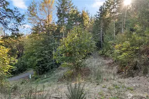 50 N Rustic Rdg Dr, Lilliwaup, WA 98555 - Photo 27