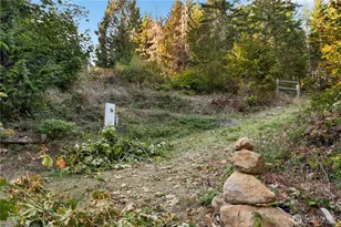 50 N Rustic Rdg Dr, Lilliwaup, WA 98555 - Photo 29