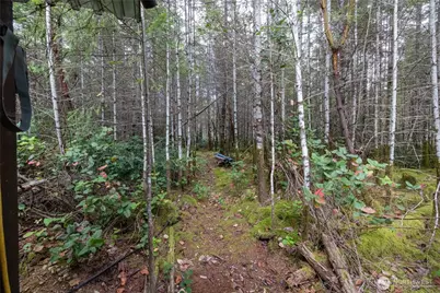 7201 SW Ridgeline Drive, Port Orchard, WA 98367 - Photo 21