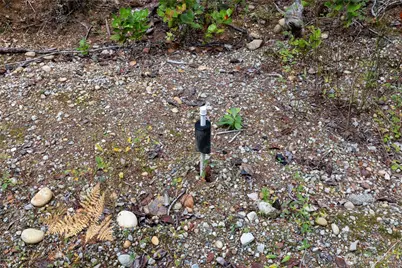 7201 SW Ridgeline Drive, Port Orchard, WA 98367 - Photo 19