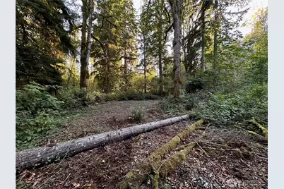 358 Xx NE Moss Lake Road, Carnation, WA 98014 - Photo 13