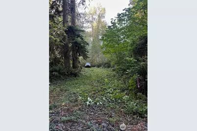 358 Xx NE Moss Lake Road, Carnation, WA 98014 - Photo 11