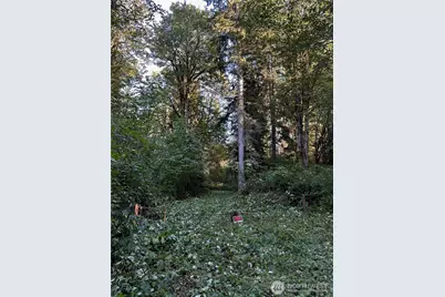 358 Xx NE Moss Lake Road, Carnation, WA 98014 - Photo 7