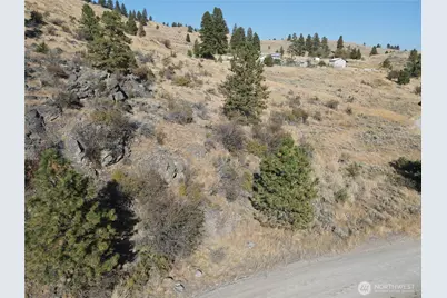 19 Meadowlark Road, Oroville, WA 98844 - Photo 21