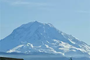 21205 Connells Prairie Road E, Bonney Lake, WA 98391 - Photo 29