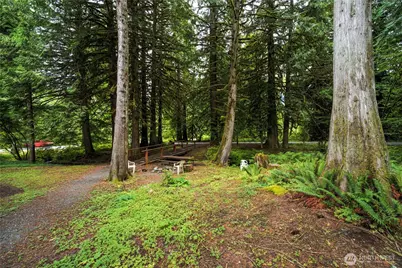 10433 Mount Baker Highway #2022A, Glacier, WA 98244 - Photo 23