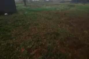 410 E Cherry Ave, Ritzville, WA 99169 - Photo 21