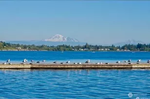 9540 Semiahmoo Pkwy, Blaine, WA 98230 - Photo 7