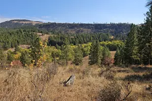 2 D Swauk Pines Rd, Cle Elum, WA 98922 - Photo 13