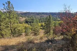 2 D Swauk Pines Rd, Cle Elum, WA 98922 - Photo 3