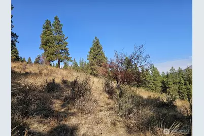 2 D Swauk Pines Road, Cle Elum, WA 98922 - Photo 9