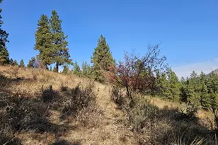 2 D Swauk Pines Rd, Cle Elum, WA 98922 - Photo 9