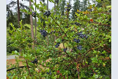 3681 Kingston Court, Clinton, WA 98236 - Photo 27