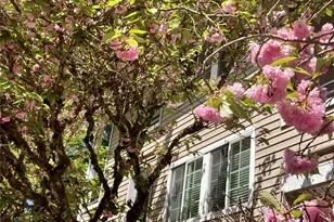 9822 NE 122nd St, Kirkland, WA 98034 - Photo 19