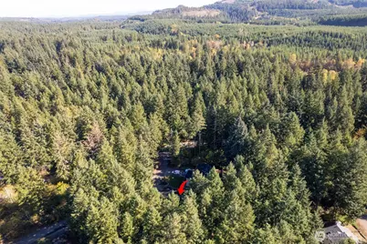 18441 Blue Hills Loop SE, Yelm, WA 98597 - Photo 35