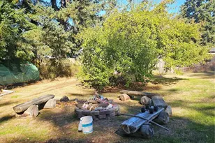 605 A SE Hubbard Rd, Rainier, WA 98576 - Photo 5