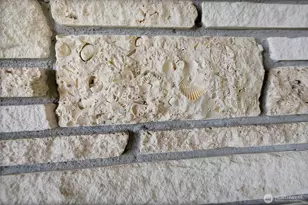 22215 SE 436th St, Enumclaw, WA 98022 - Photo 13