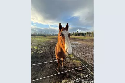 237 Collins Road, Toledo, WA 98591 - Photo 3