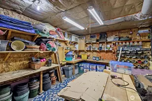 11303 126th Ave NE, Kirkland, WA 98033 - Photo 35