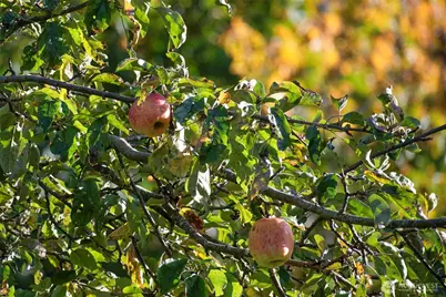 572 Strait View Drive, Port Angeles, WA 98362 - Photo 25