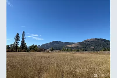0 Tbd Hwy 21 N, Curlew, WA 99118 - Photo 19