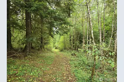 0 Lund Road, Cosmopolis, WA 98537 - Photo 3