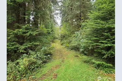 0 Lund Road, Cosmopolis, WA 98537 - Photo 5