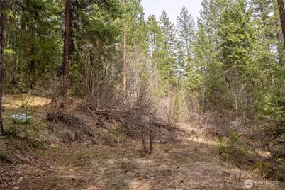 1 Chumstick Highway, Leavenworth, WA 98826 - Photo 3